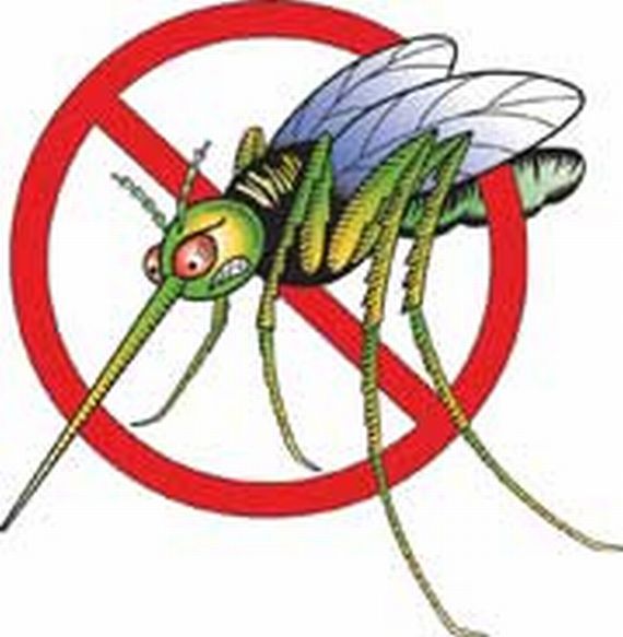 Dezinsekcija komaraca