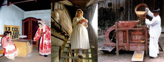 Dok je kruha ikakva, ne boj se glada nikakva Dok je kruha ikakva, ne boj se glada nikakva