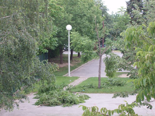 Čitatelj: " Vandalizam u parku"